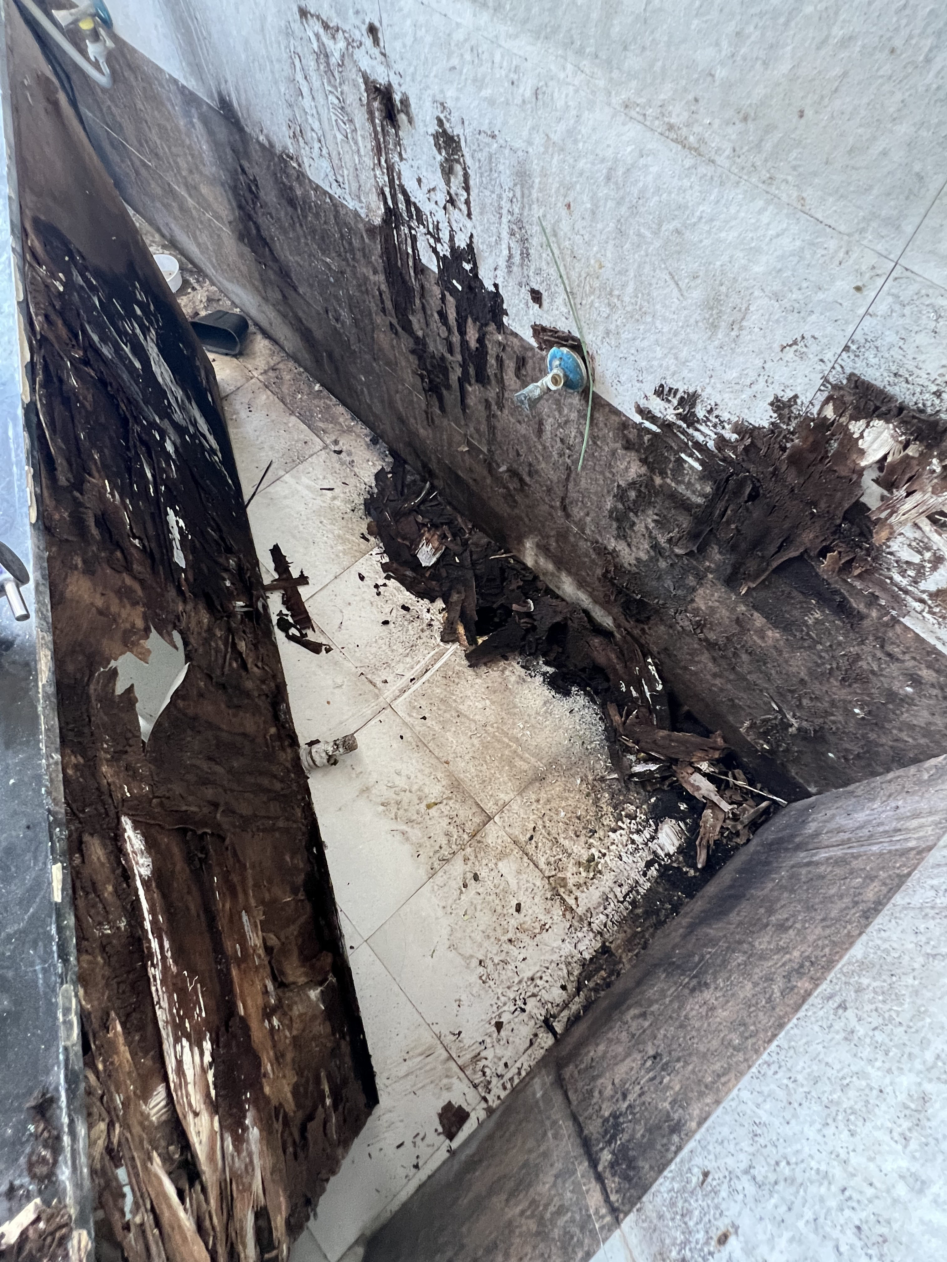 Pest & Termite Solutions completed by Fixmate